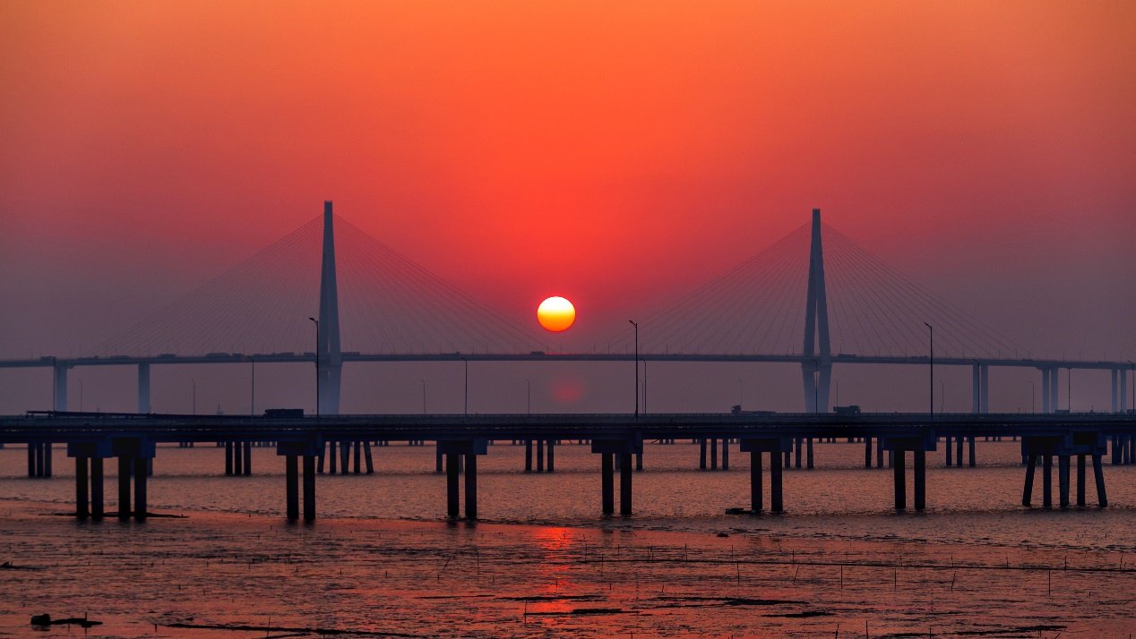 點(diǎn)擊查看圖片來源