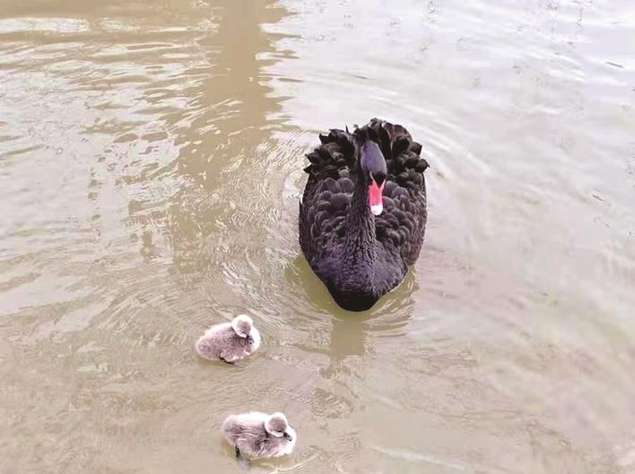 微信圖片_20210218200545 微信圖片_20210218200545